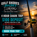 4 Hour Shark Fishing Trip – $100 Deposit